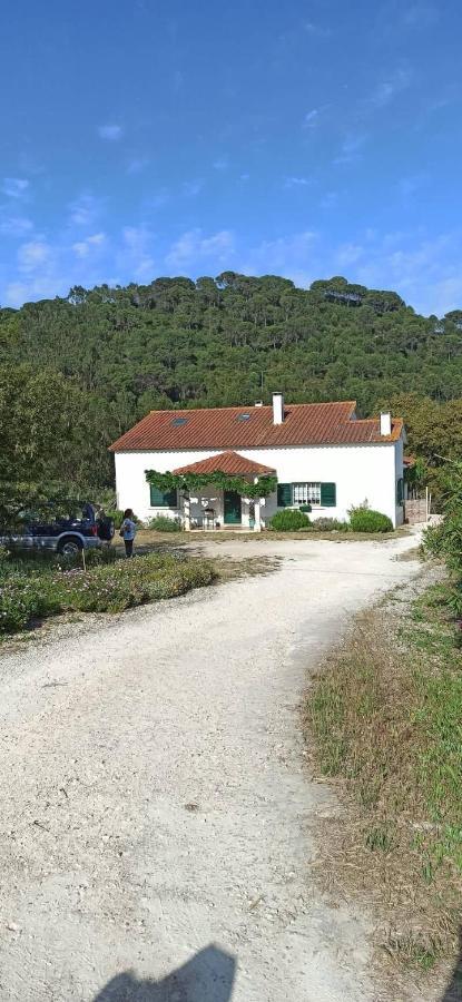 Al- Quinta Dos Carvalhais Rio Maior Eksteriør billede